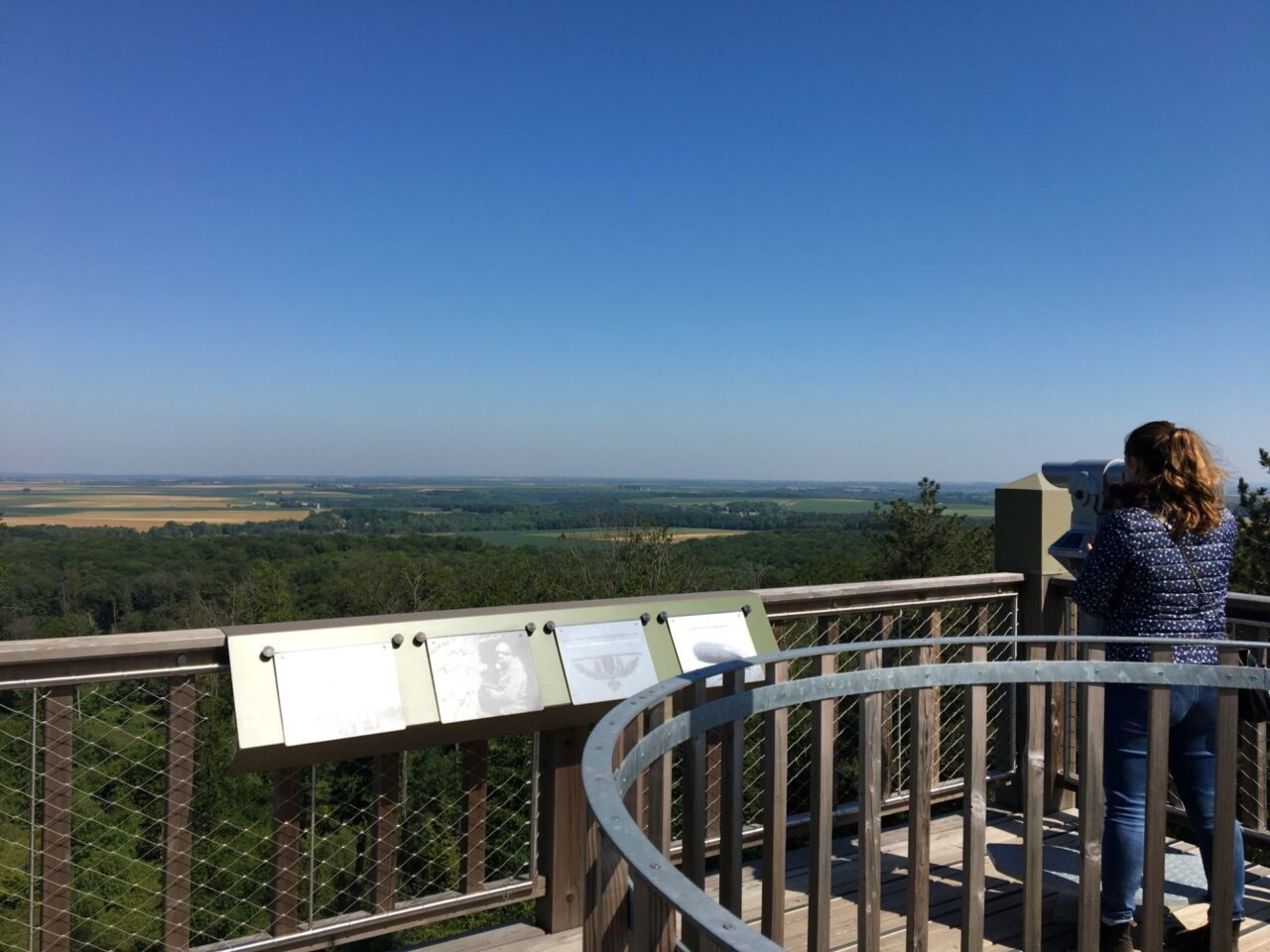 Panorama de la tour d'observation du général Mangin en forêt de Retz