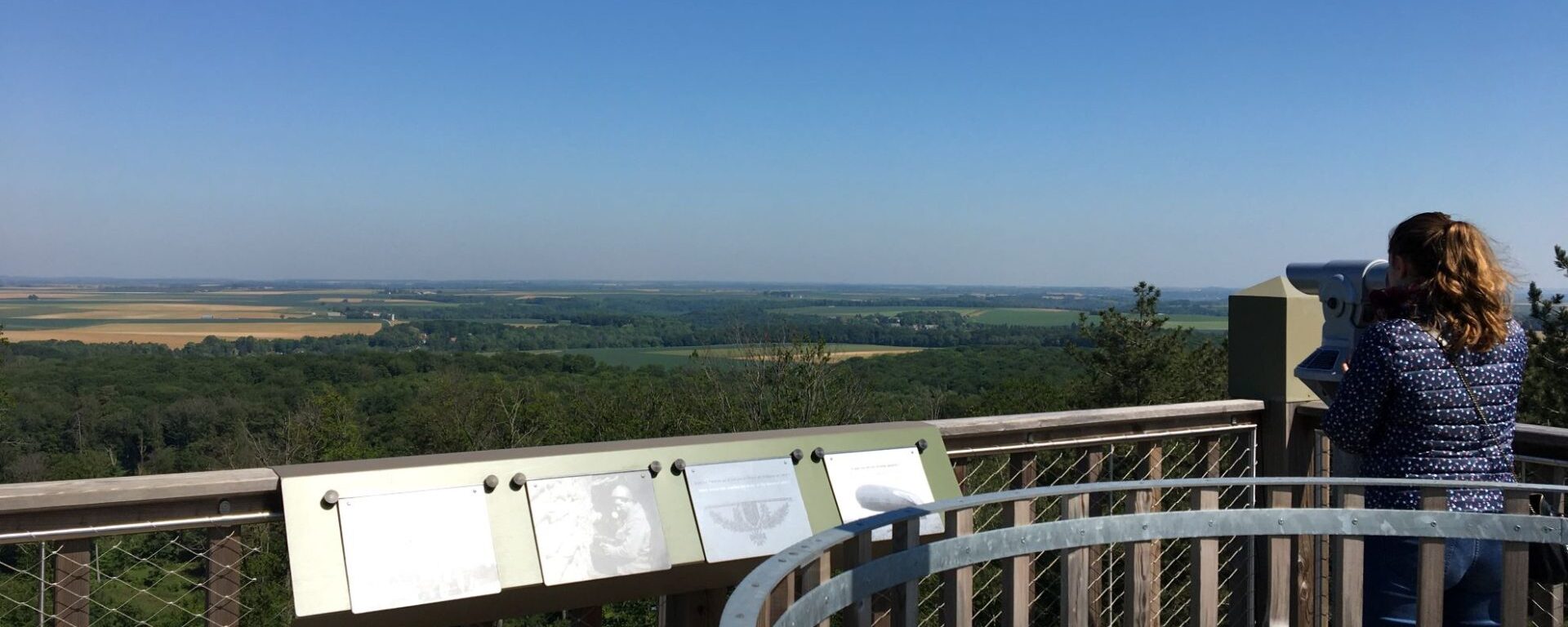 Panorama de la tour d'observation du général Mangin en forêt de Retz